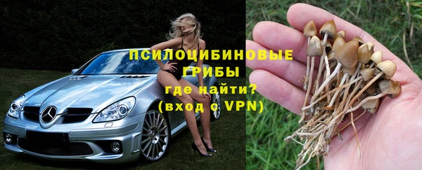 каннабис Алексеевка