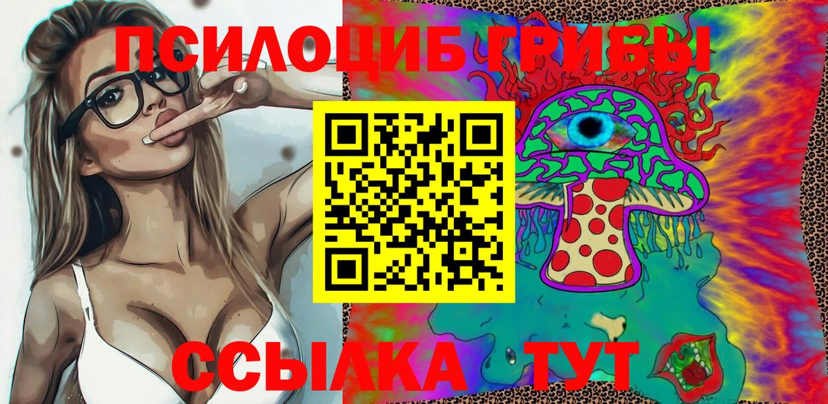 где купить наркоту  Вход с VPN  Ахтубинск  Псилоцибиновые грибы Magic Shrooms 